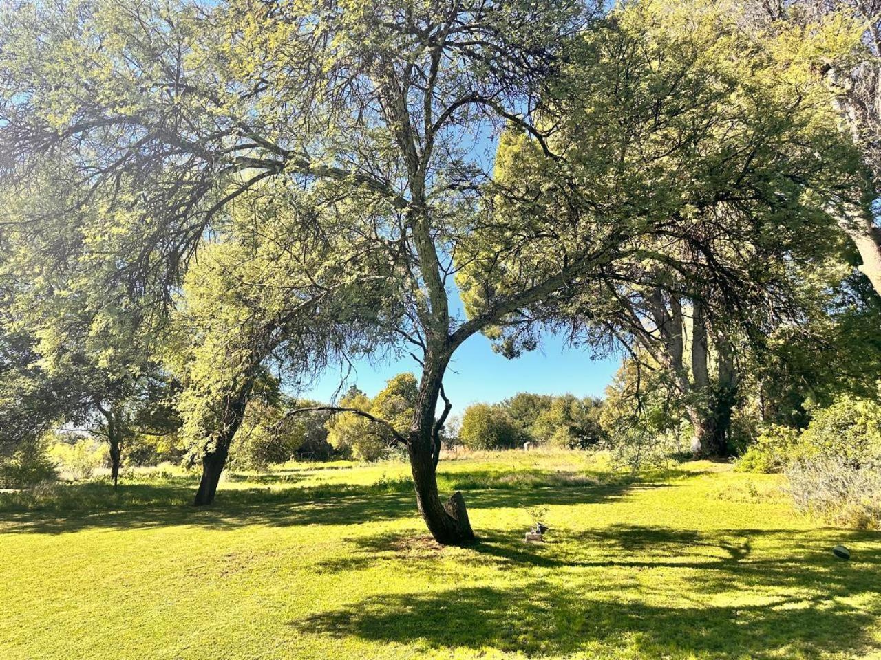 Farm Stay At Saffron Cottage On Haldon Estate Bloemfontein Exterior photo