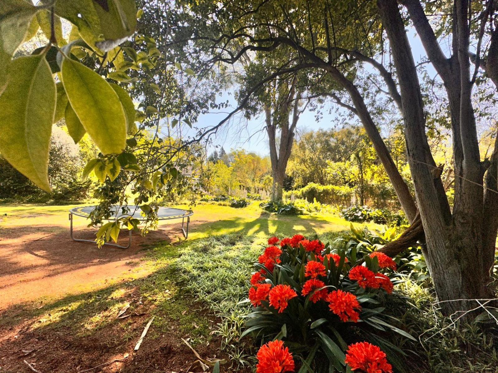 Farm Stay At Saffron Cottage On Haldon Estate Bloemfontein Exterior photo